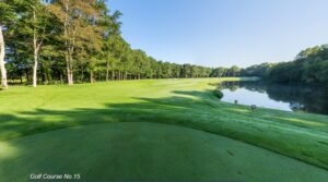 15番ホース画像